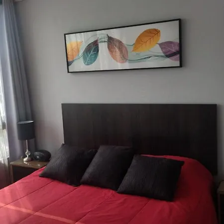 Hermoso Estudio En Quinta Normal